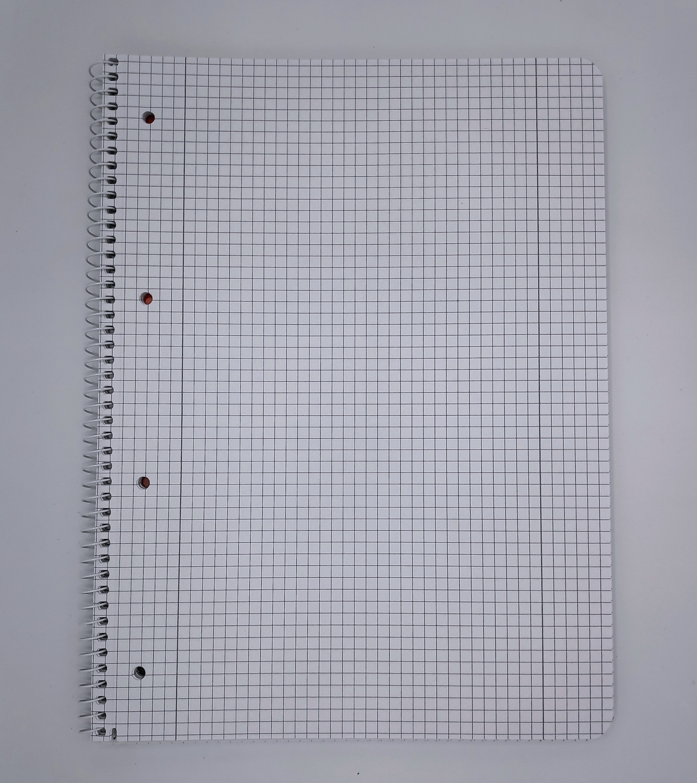 COLLEGEBLOCK 80 BLATT KARIERT MIT RAND C8