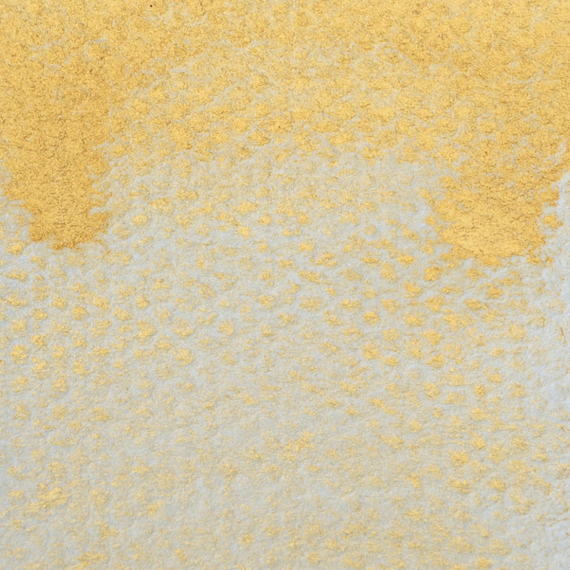 SCHMINCKE HORADAM AQUARELLFARBKASTEN SONDEREDITION "GOLD"