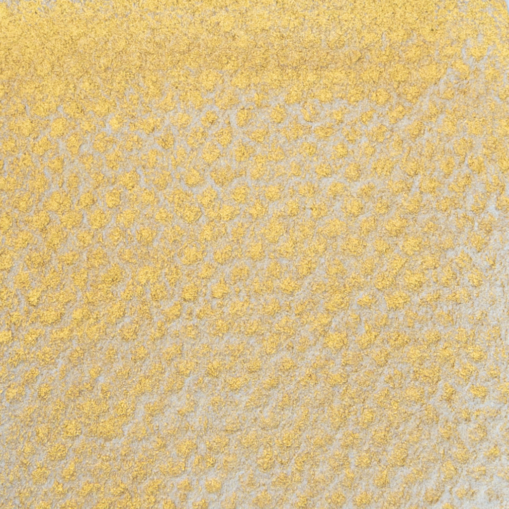 SCHMINCKE HORADAM AQUARELLFARBKASTEN SONDEREDITION "GOLD"