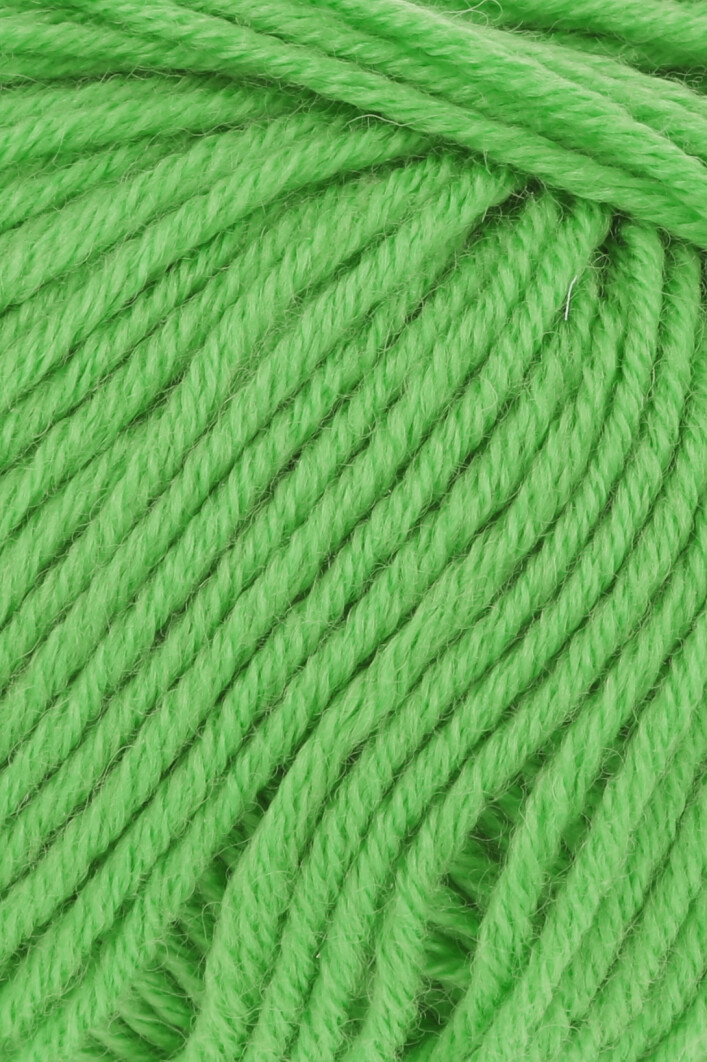 LANG POSEIDON 0016 HELLGRÜN 50GR