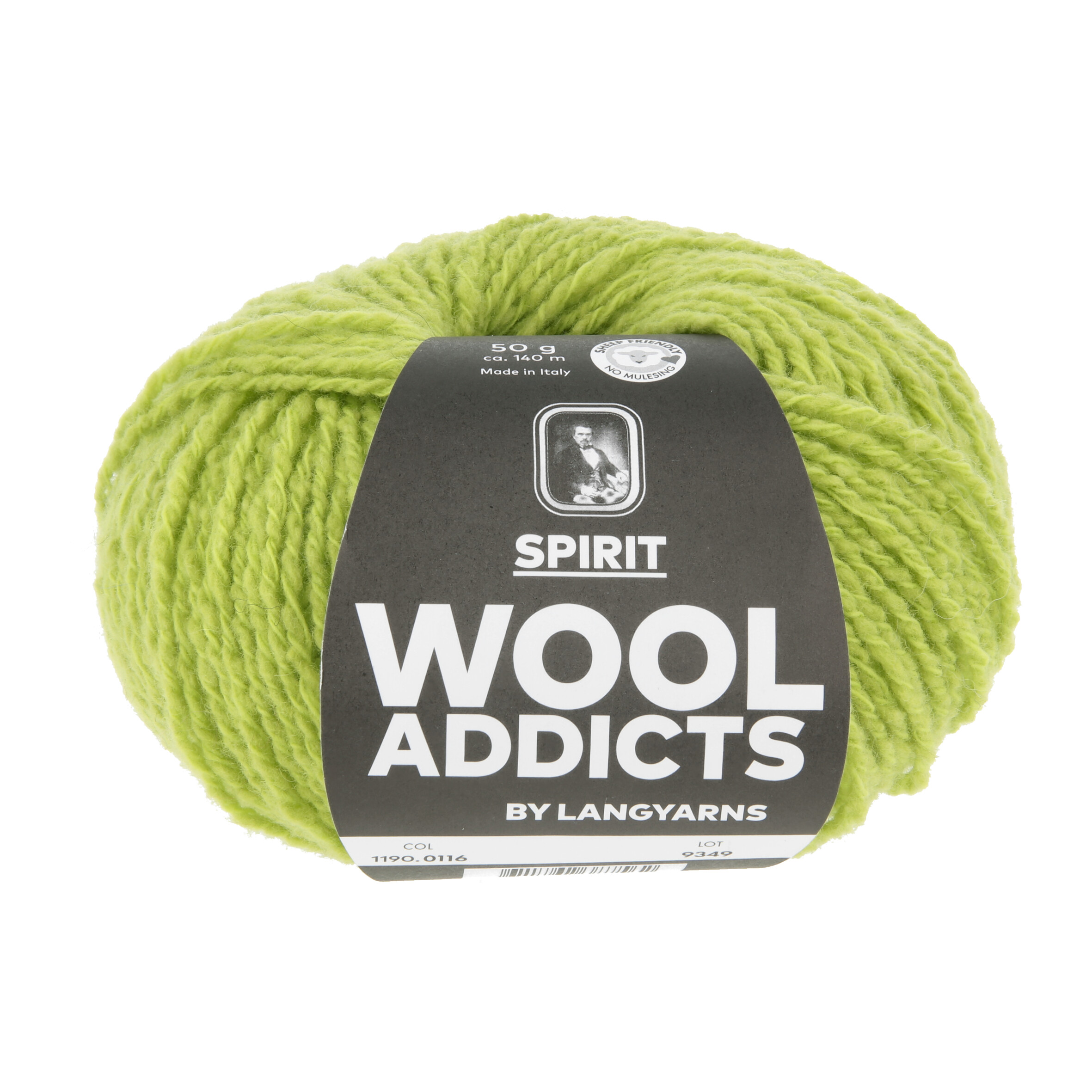WOOL ADDICT SPIRIT 116 VERDE CHIARO 50GR