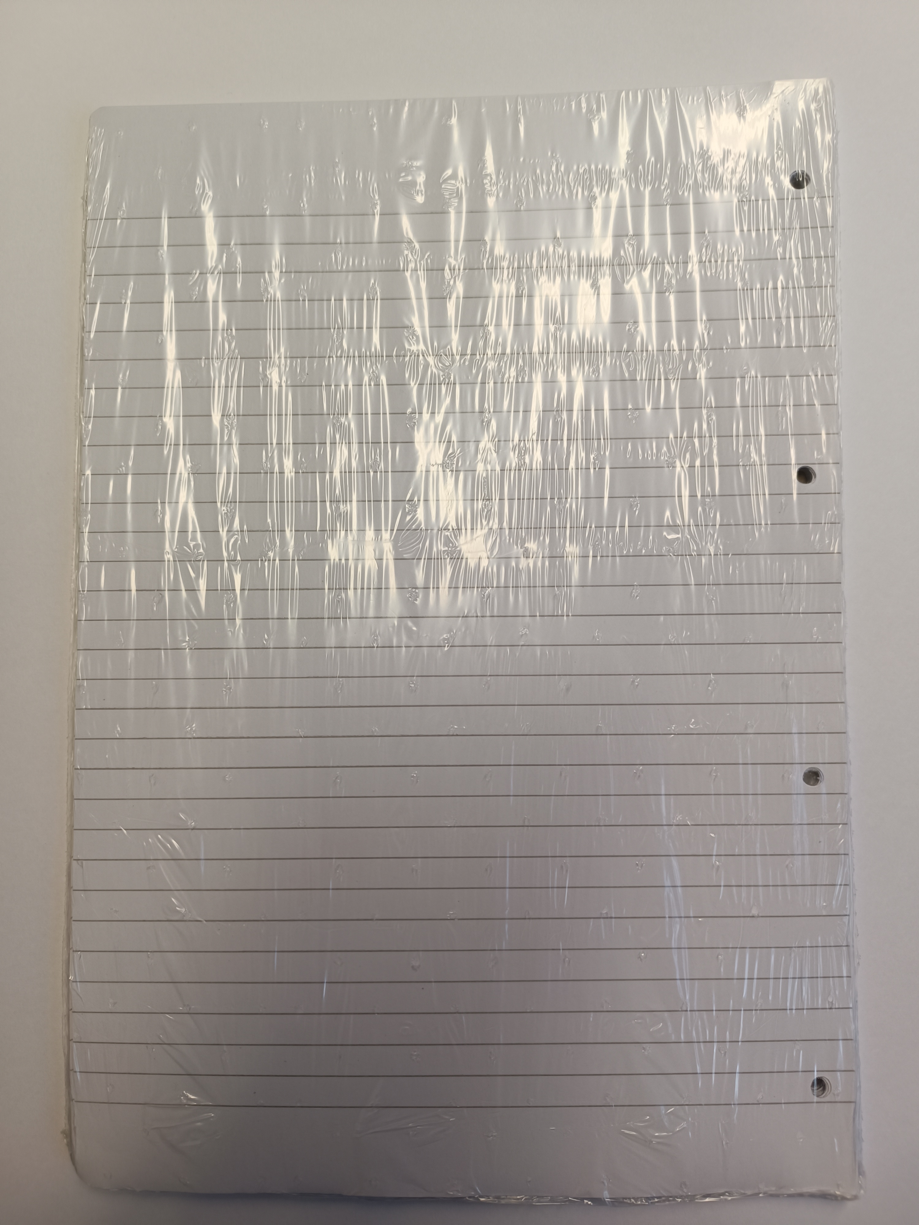 EINLAGEBLÄTTER A4 , LINIERT, MIT VERSTÄRKTER LOCHLEISTE, E2, 90GR. 