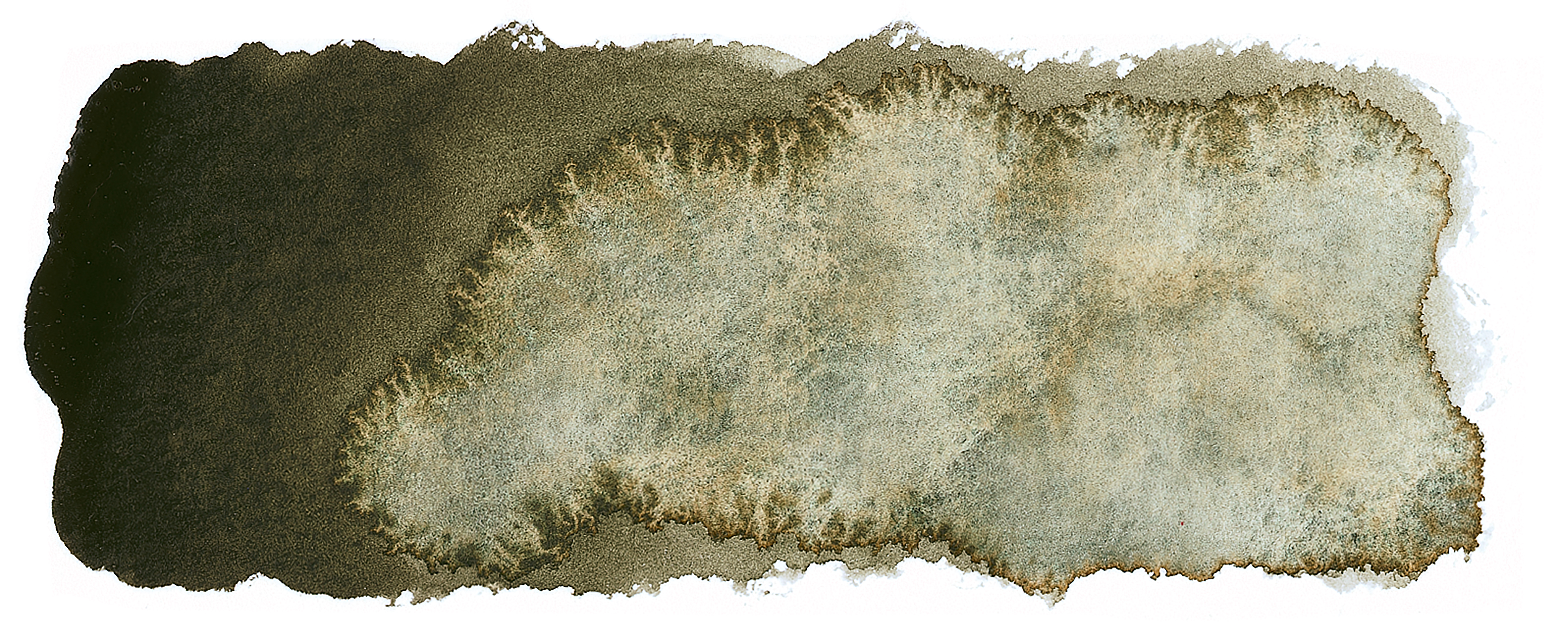 SCHMINCKE HORADAM AQUARELL TRIO SUPER GRANULATION WALD