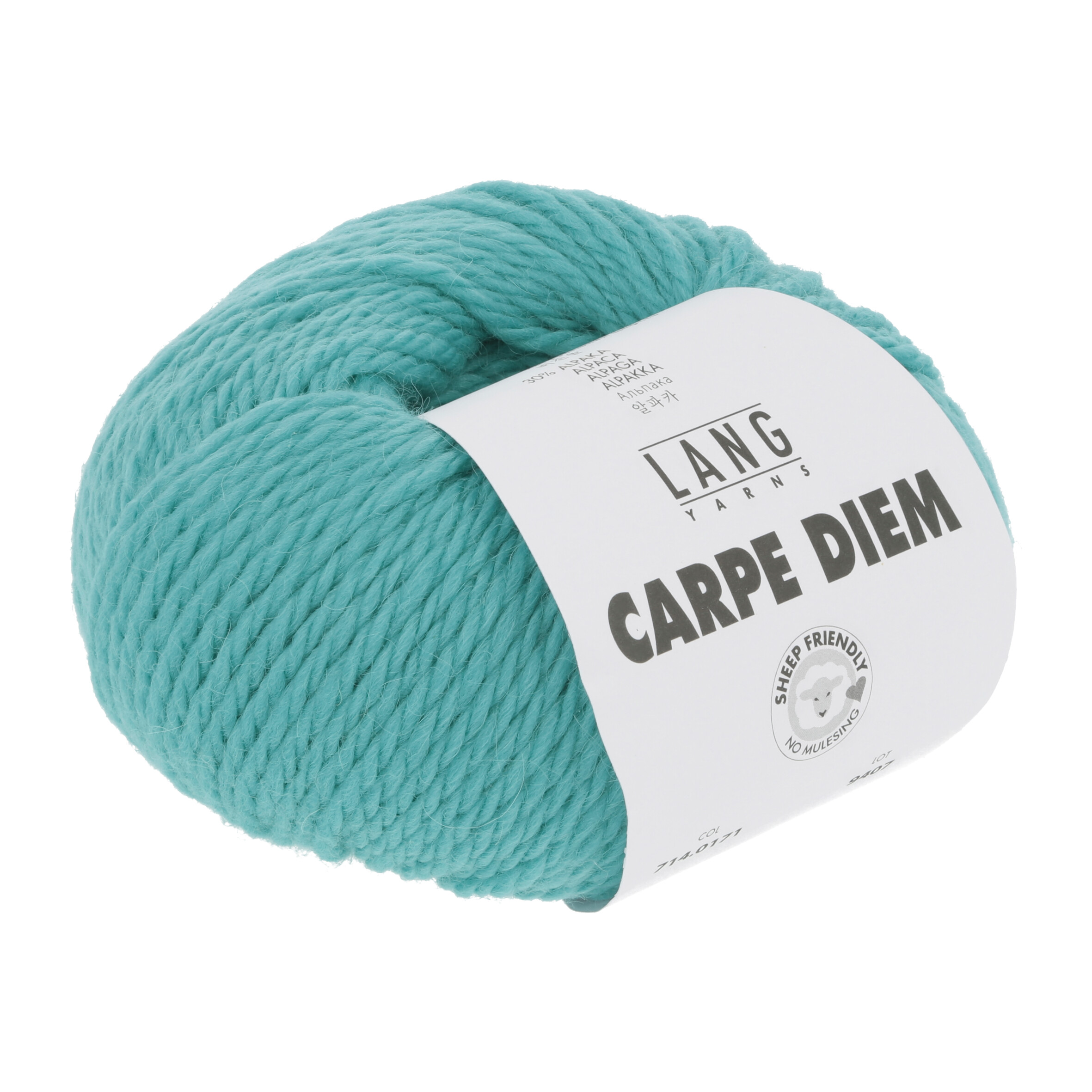 LANG CARPE DIEM 0171 TÜRKIS 50GR LANG CARPE DIEM 0171 TÜRKIS 50GR